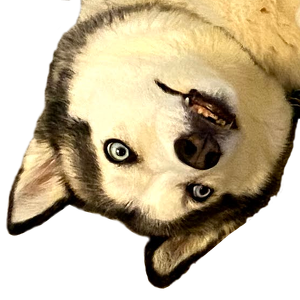 Fundraising Page: Ryan DeShone